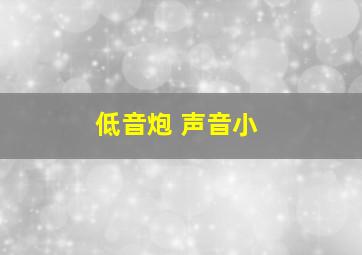 低音炮 声音小